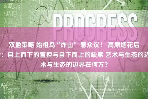 双盈策略 始祖鸟“炸山” 惹众议! 高原烟花后的治理悖论:自上而下的管控与自下而上的缺席 艺术与生态的边界在何方?