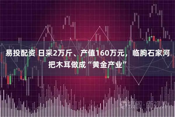 易投配资 日采2万斤、产值160万元,临朐石家河把木耳做成“黄金产业”